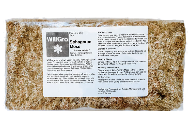 Chilean Sphagnum Moss 150g/6l Compact Brick, Ethically Grown & Harvested 